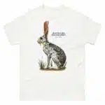 Antelope Jackrabbit (Lepus alleni) t-shirt