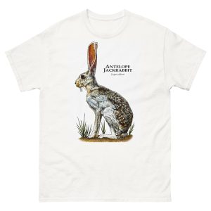 Antelope Jackrabbit (Lepus alleni) t-shirt