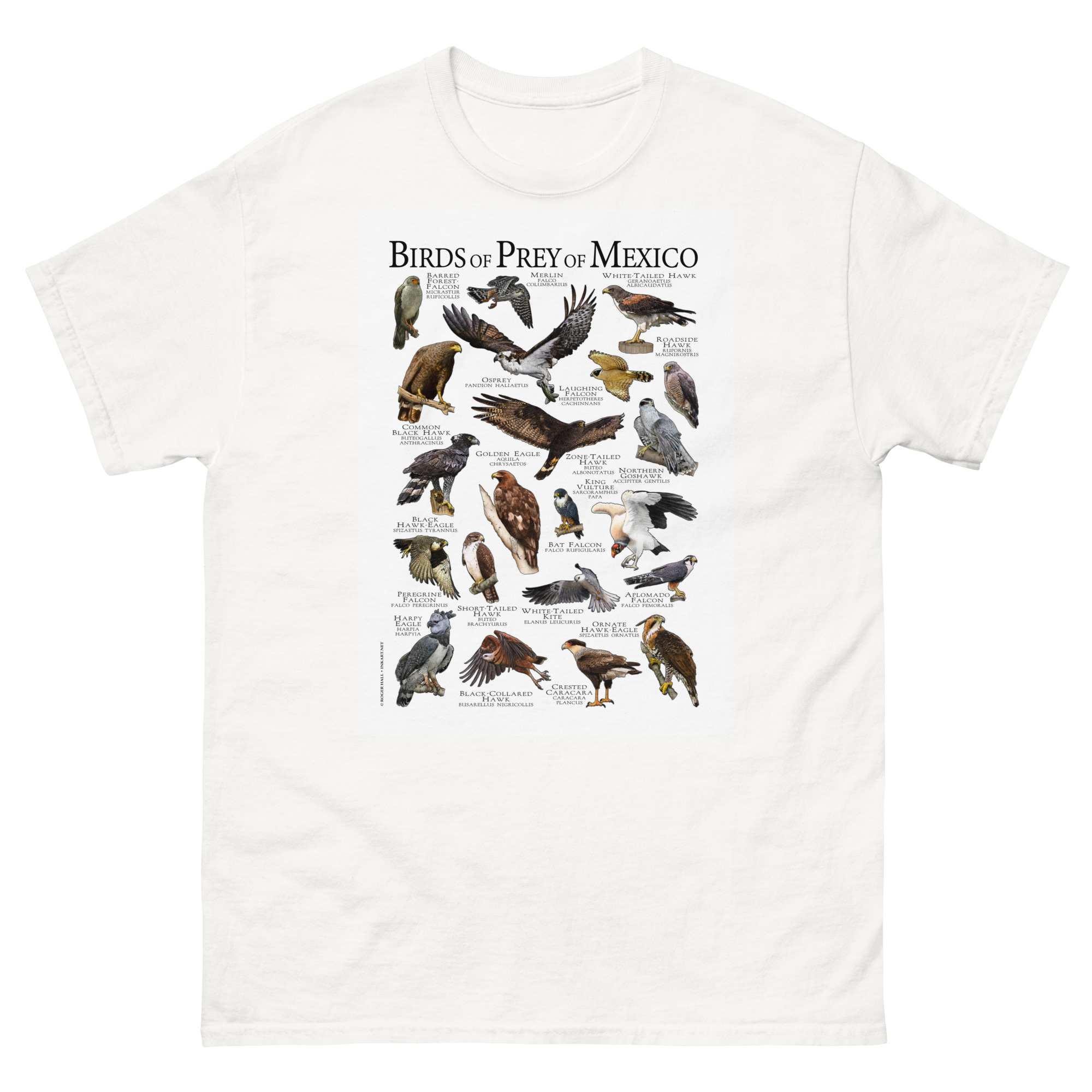 Birds of Prey of Mexico mens-classic-tee-white Birds of Prey of Mexico t-shirt