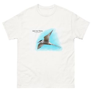 Arctic Tern (Sterna paradisaea) t-shirt