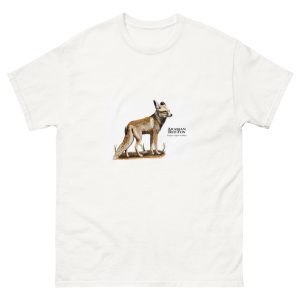 Arabian Red Fox (Vulpes vulpes arabica) t-shirt