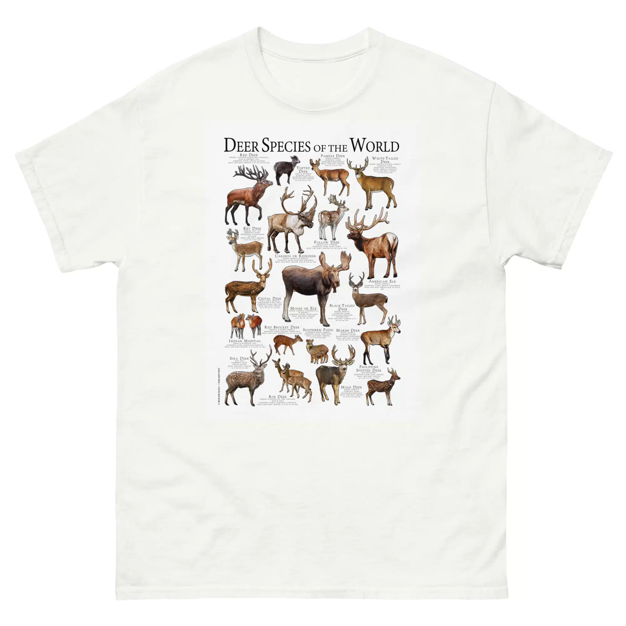 Deer species of the world mens-classic-tee Deer species of the world t-shirt
