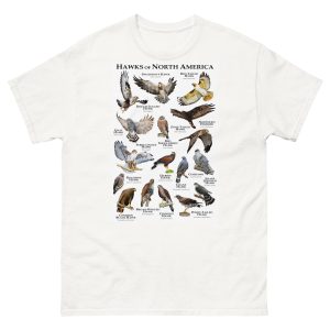Hawks of North America t-shirt