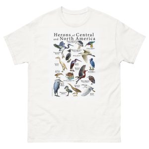 Herons of North and Central America t-shirt