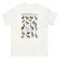 Lagomorphs of the US and Canada