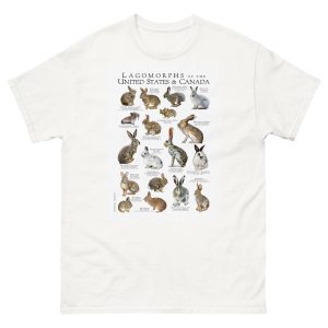 Lagomorphs of the US and Canada