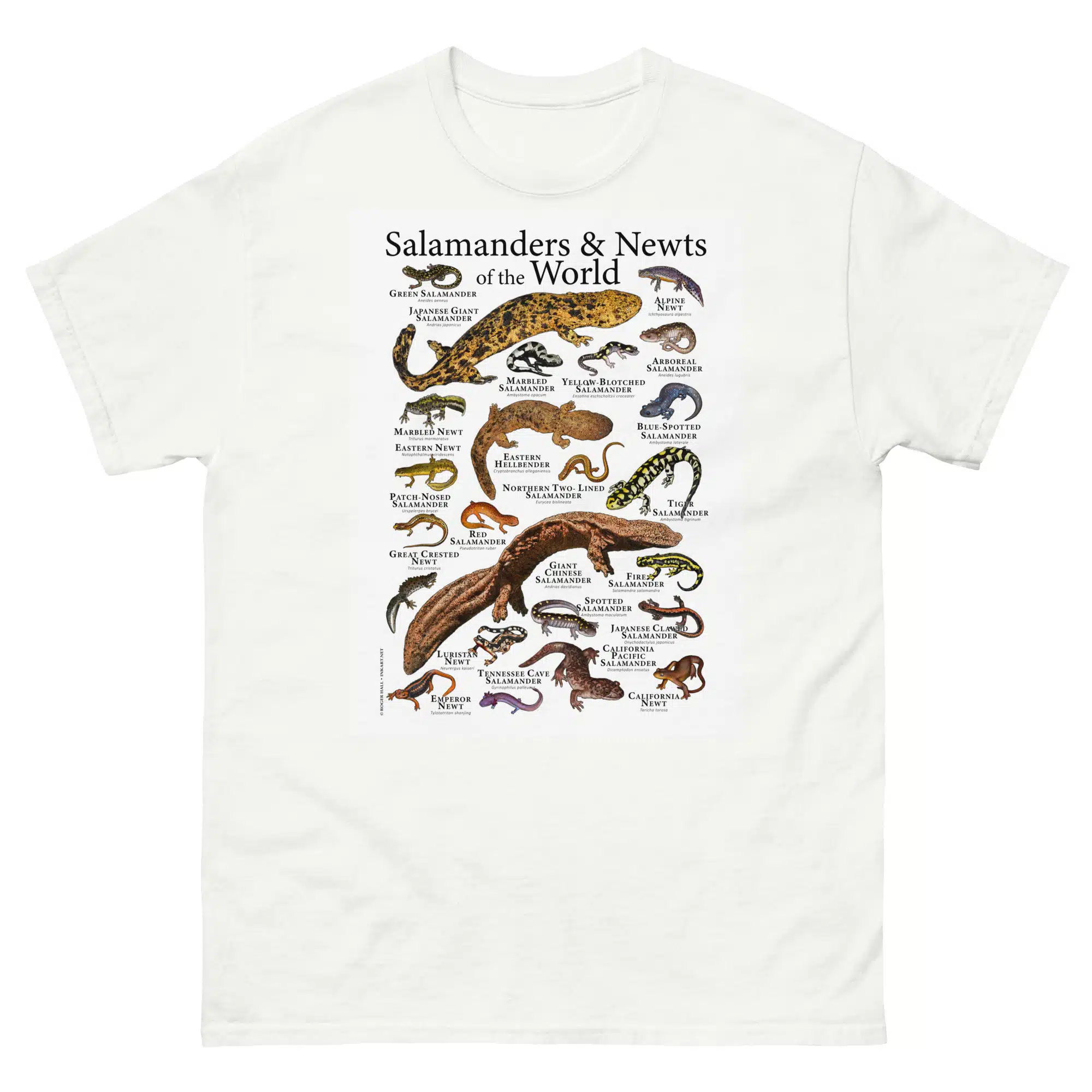 Salamanders & Newts of the world mens-classic-tee-white Salamanders & Newts of the world t-shirt
