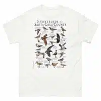 Shorebirds of Santa Cruz county t-shirt