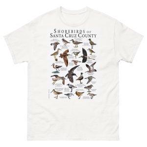 Shorebirds of Santa Cruz county t-shirt