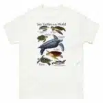 Sea Turtles of the World t-shirt