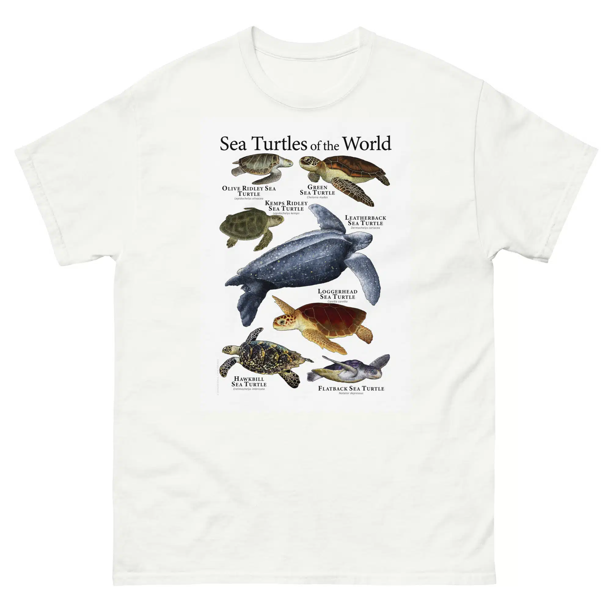 Sea Turtles of the World - Men's classic tee