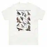 Woodpeckers of Arizona t-shirt