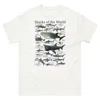 Sharks of the World t-shirt