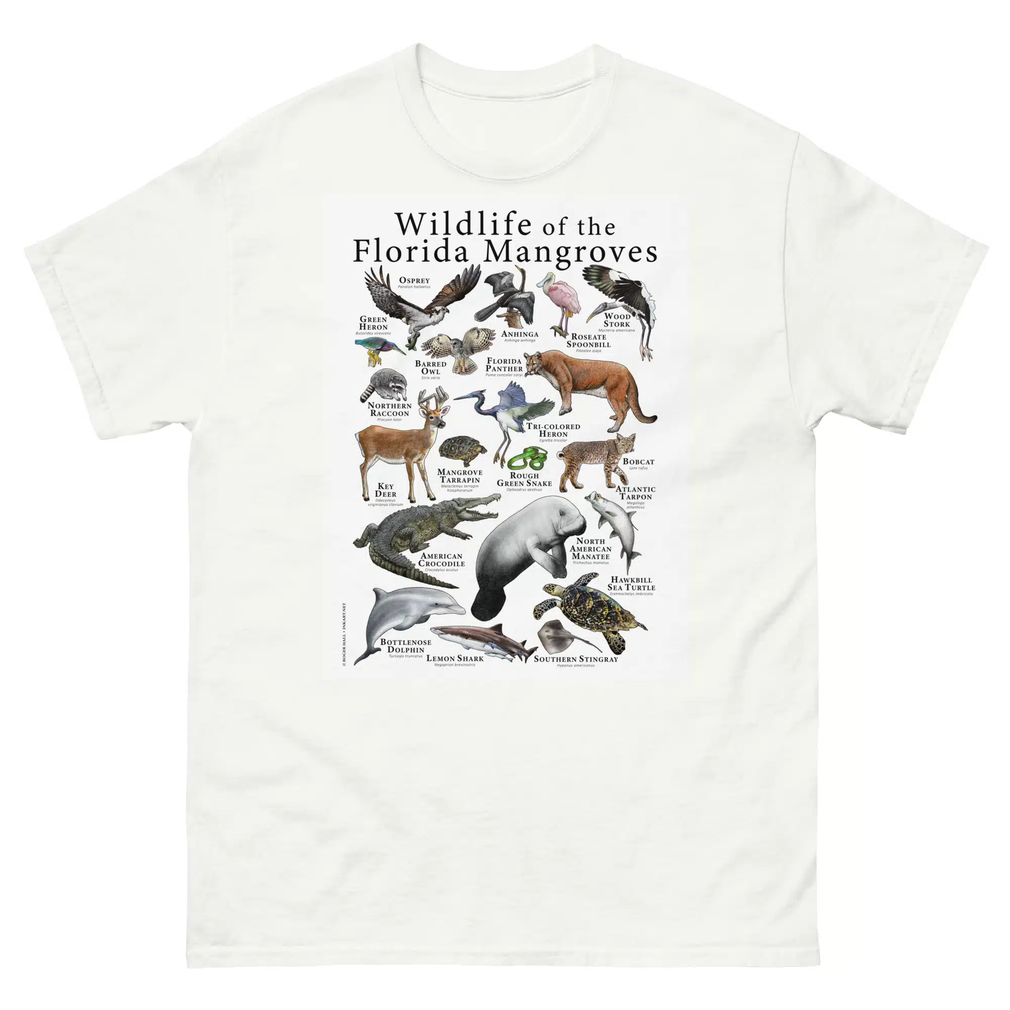 Wildlife of the Florida Mangroves mens-classic-tee Wildlife of the Florida Mangroves t-shirt