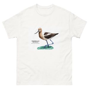 American Avocet (Recurvirostra americana) t-shirt