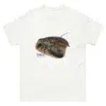 American Lobster (Homarus americanus) t-shirt