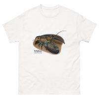 American Lobster (Homarus americanus) t-shirt