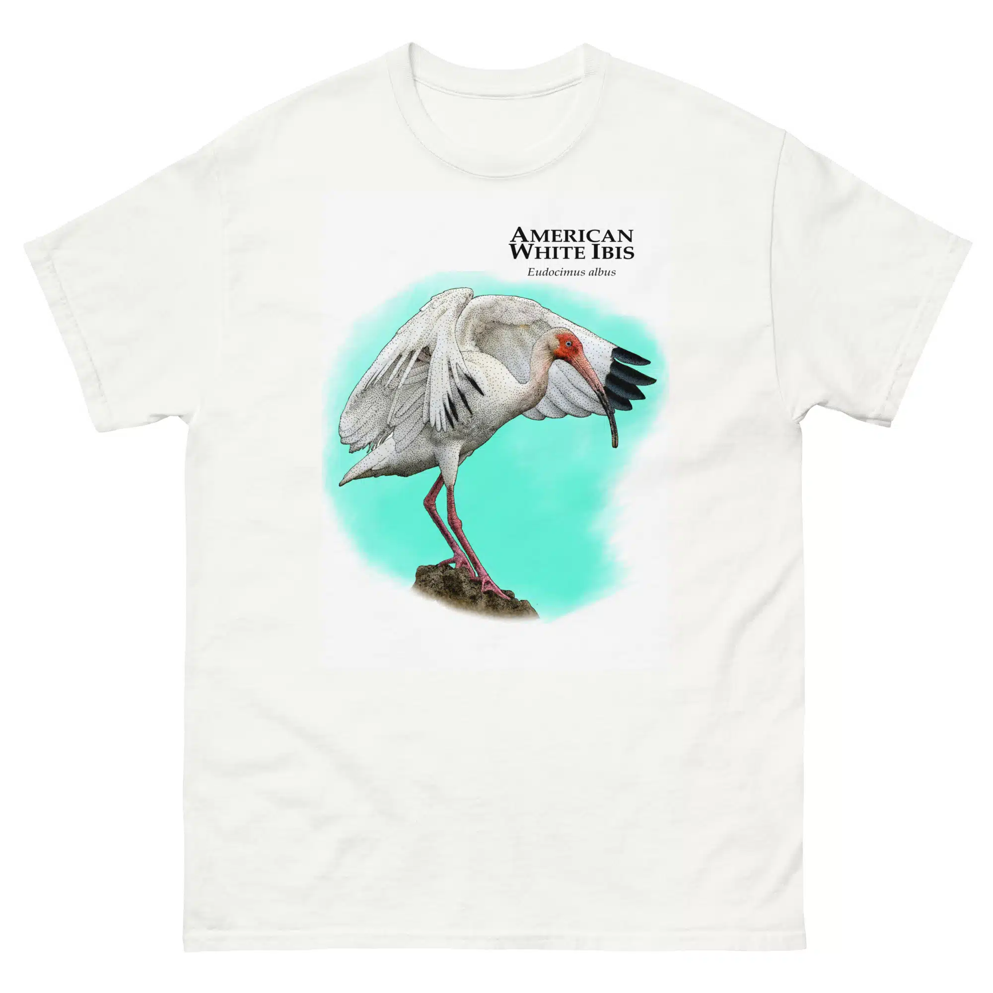 American White Ibis (Eudocimus albus) mens-classic-tee American White Ibis (Eudocimus albus) t-shirt