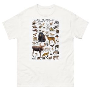Land Mammals of Maine t-shirt