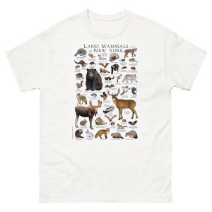 Land Mammals of New York t-shirt