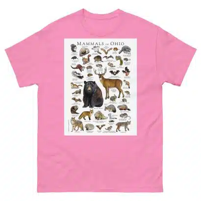 Mammals of Ohio - Men's classic tee - Image 7