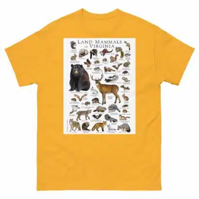 Land Mammals of Virginia - Men's classic tee - Image 8