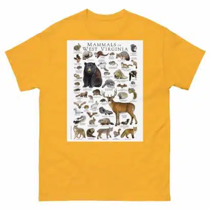 Mammals of West Virginia - Men's classic tee - Image 8