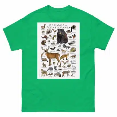 Mammals of Pennsylvania - Men's classic tee - Image 6