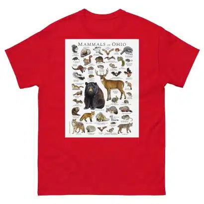 Mammals of Ohio - Men's classic tee - Image 3