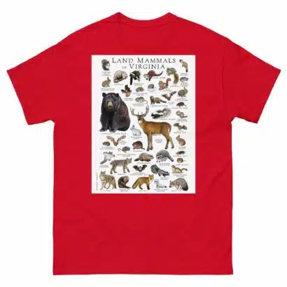 Land Mammals of Virginia - Men's classic tee - Image 3