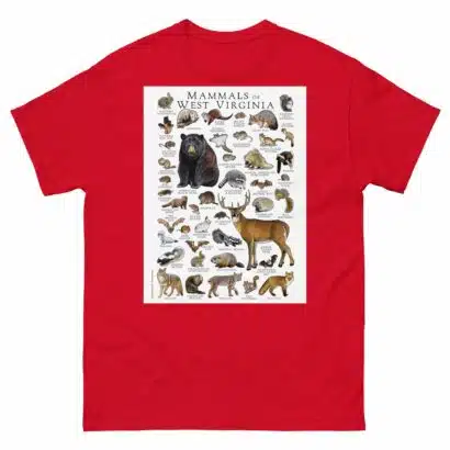 Mammals of West Virginia - Men's classic tee - Image 3