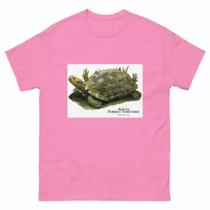 Asian Forest Tortoise - Men's classic tee - Image 7