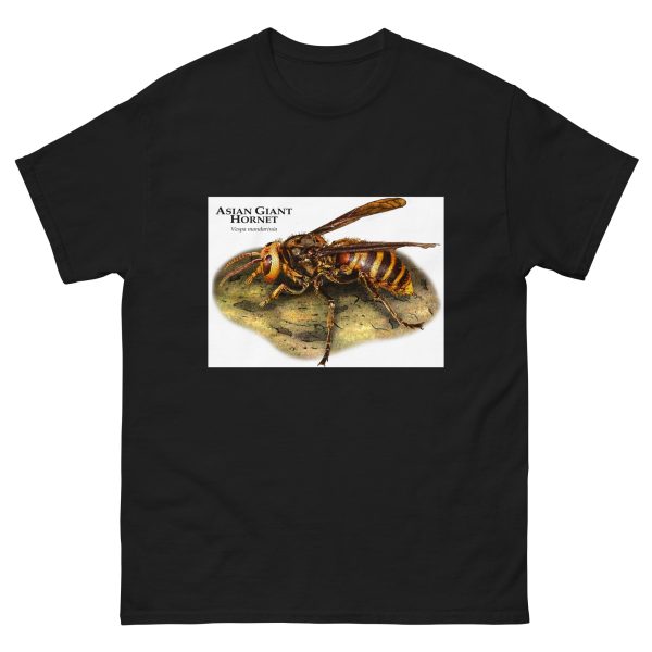 Asian Giant Hornet - Men's classic tee - Image 2