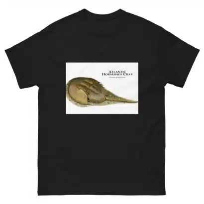 Atlantic Horseshoe Crab - Men's classic tee - Image 2