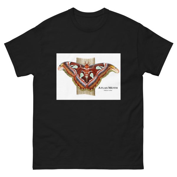 Atlas Moth - Men's classic tee - Image 2