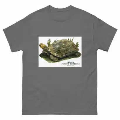 Asian Forest Tortoise - Men's classic tee - Image 4