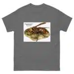 Asian Giant Hornet - Men's classic tee - Image 4