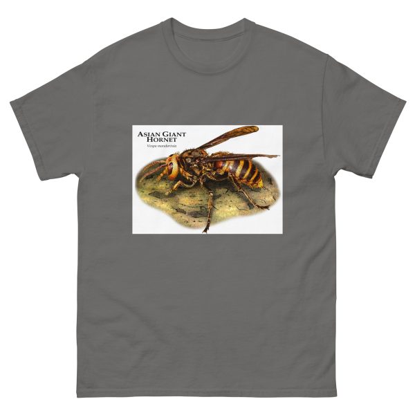 Asian Giant Hornet - Men's classic tee - Image 4