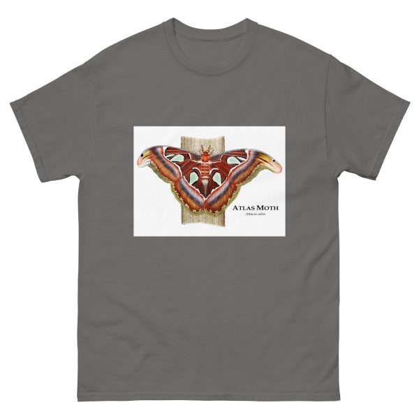 Atlas Moth - Men's classic tee - Image 4