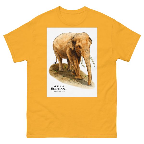 Asian Elephant - Men's classic tee - Image 8