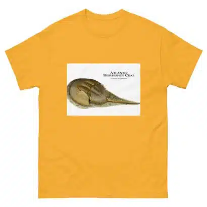 Atlantic Horseshoe Crab - Men's classic tee - Image 8
