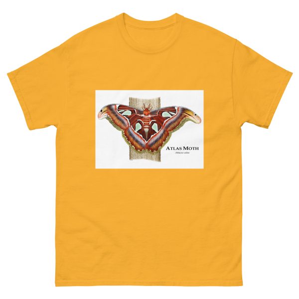 Atlas Moth - Men's classic tee - Image 8