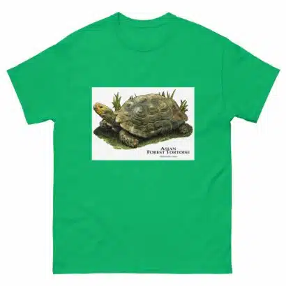 Asian Forest Tortoise - Men's classic tee - Image 6