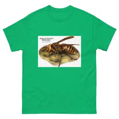 Asian Giant Hornet - Men's classic tee - Image 6