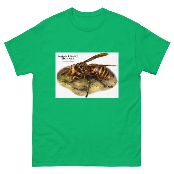 Asian Giant Hornet - Men's classic tee - Image 6
