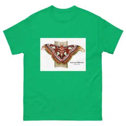 Atlas Moth - Men's classic tee - Image 6