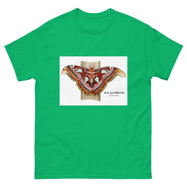 Atlas Moth - Men's classic tee - Image 6