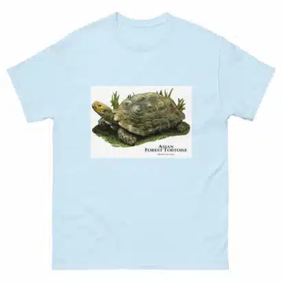 Asian Forest Tortoise - Men's classic tee - Image 10