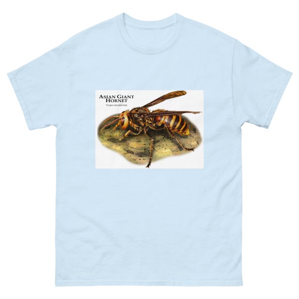 Asian Giant Hornet - Men's classic tee - Image 10