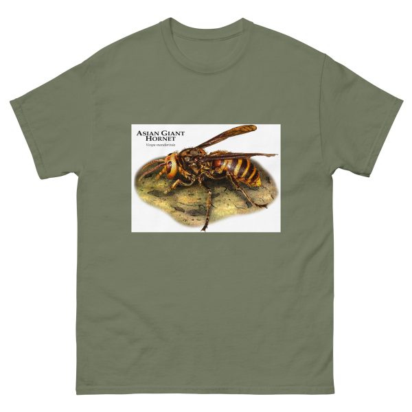 Asian Giant Hornet - Men's classic tee - Image 5